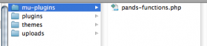 Point and Stare mu-plugins folder Point and Stare mu-plugins folder